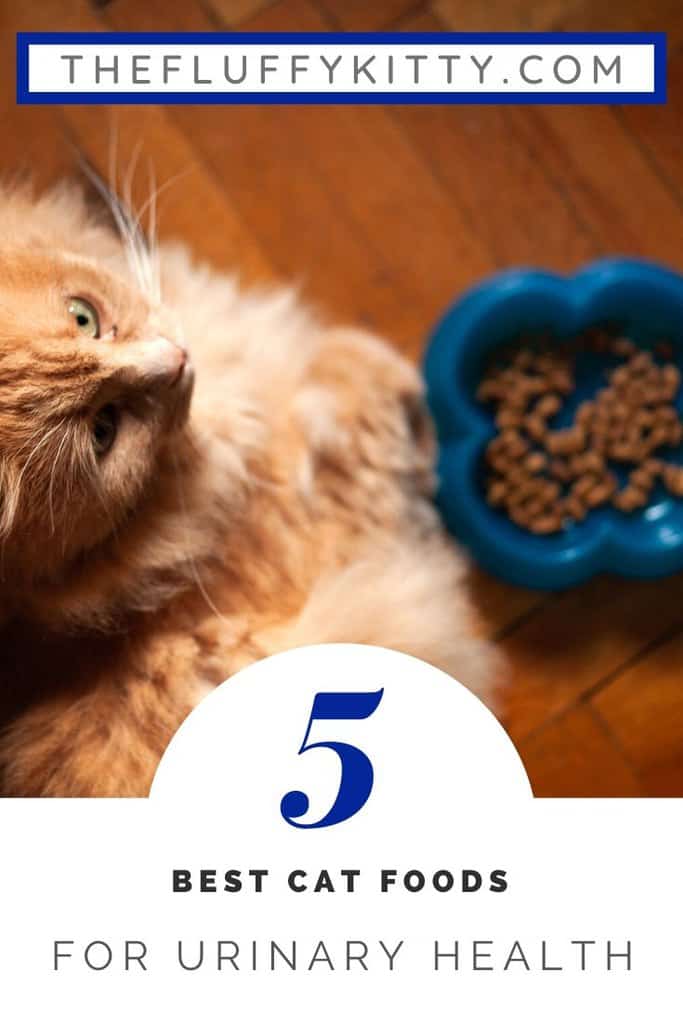 View of 5 Best Cat Foods for Urinary Tract Health in Cats - The Fluffy Kitty
