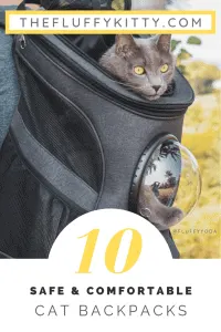 Top 10 Best Cat Backpack Carriers for Adventurous Felines WhoTravel | The Fluffy Kitty | thefluffykitty.com