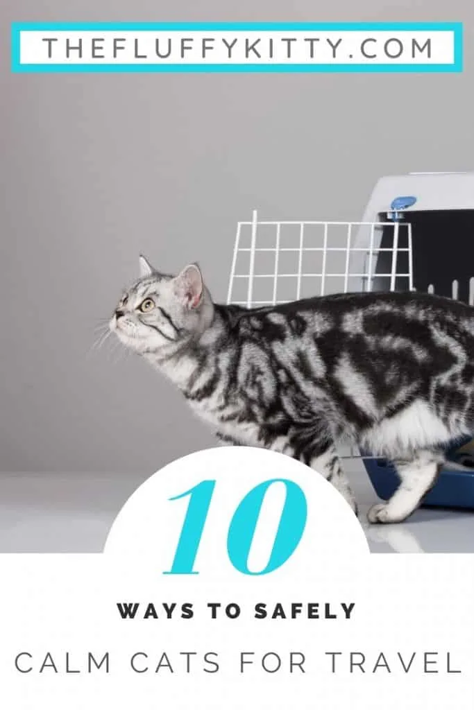 10 Ways to safely calm cats down for traveling. Guide by Fluffy Kitty www.thefluffykitty.com #cats #cattravel #cats #catcare