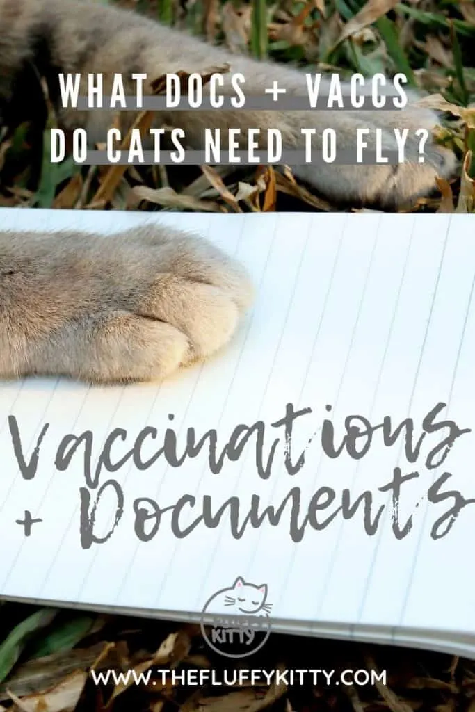 All the vaccinations and documents cats need in order fly on a plane. Cat travel guides by The Fluffy Kitty www.thefluffykitty.com