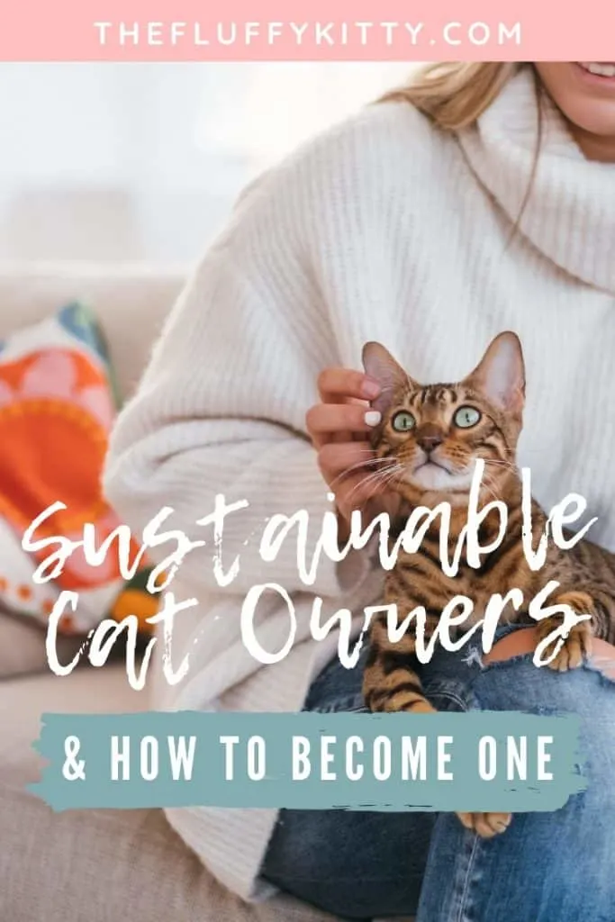 Sustainable Cat Ownership - The owners of the Fluffy Kitty cat blog share how they became sustainable cat owners and how you can too. www.thefluffykitty.com #cats #sustainability #catparents #ecofriendly