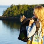 Our Journey of Becoming Sustainable Cat Owners