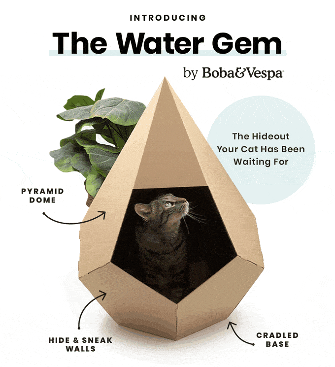 The Water Gem // Fluffy Kitty Blog Review: https://the-water-gem.kckb.st/aa624bd8
