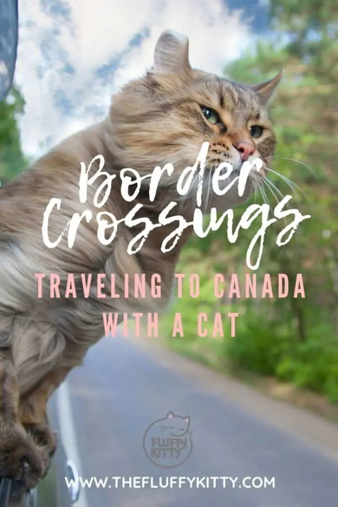 Crossing into Canada with a Cat in a Van | Our Guide THE FLUFFY KITTY www.thefluffykitty.com #borders #usacanada #cats #adventurecats
