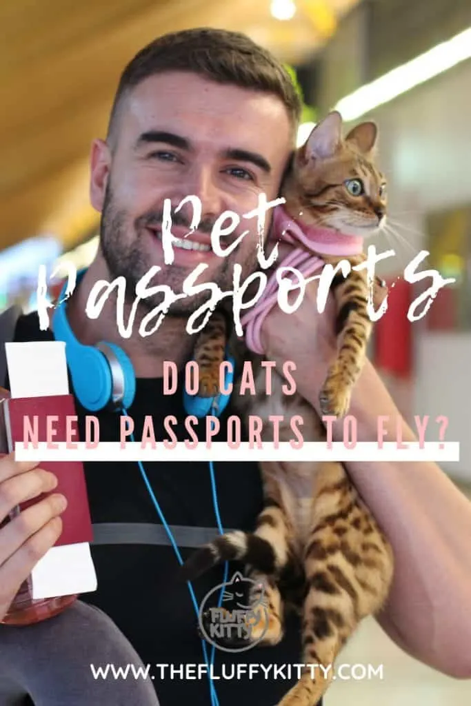Pet Passports and Cat Passports - Does your cat need a passport in order to fly or travel? Find out here! THE FLUFFY KITTY www.thefluffykitty.com #cats #passport #travel #catblog