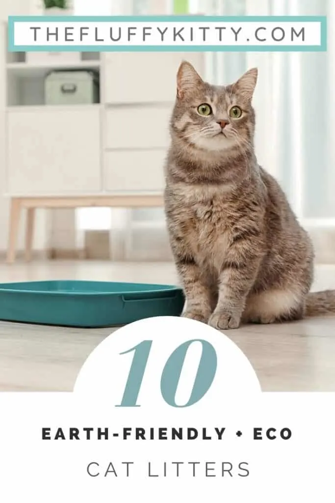 10 Best Eco-Friendly Cat Litters Compilation | The Fluffy Kitty www.thefluffykitty.com #ecofriendly #cat #catlitter #cats