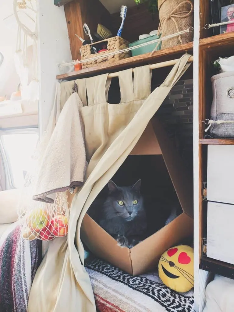 Van Life with Cats: Ultimate guide on how to manage living and traveling full-time with a cat in a camper van. www.thefluffykitty.com @fluffyyoda The Fluffy Kitty #vancat #vanlife #vancats #vanlifewithcats