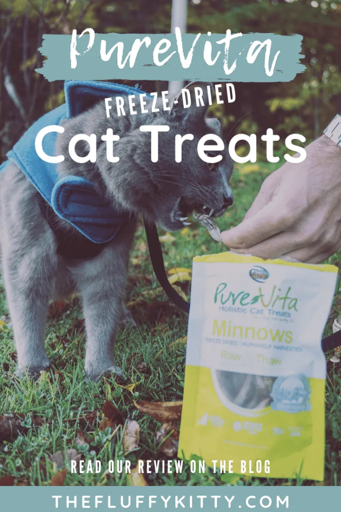 PureVita's Freeze-Dried Cat Treats | Review by Fluffy Kitty www.thefluffykitty.com 