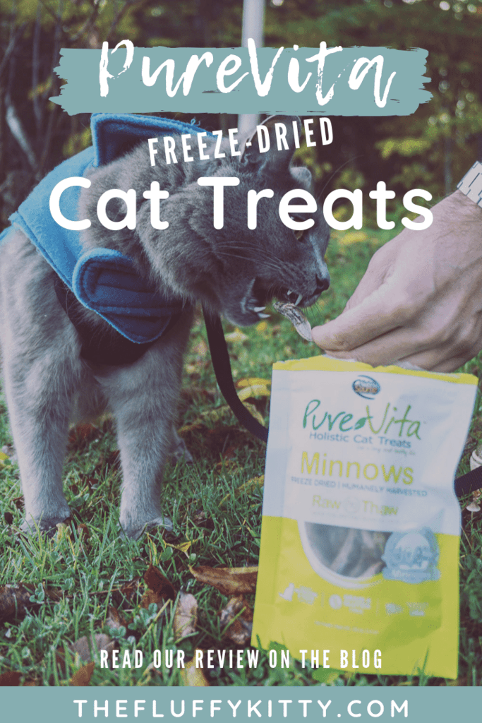 PureVita's Freeze-Dried Cat Treats | Review by Fluffy Kitty www.thefluffykitty.com