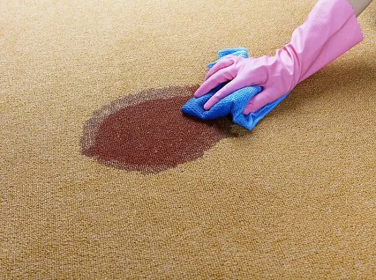 person with glove cleaning stain off carpet