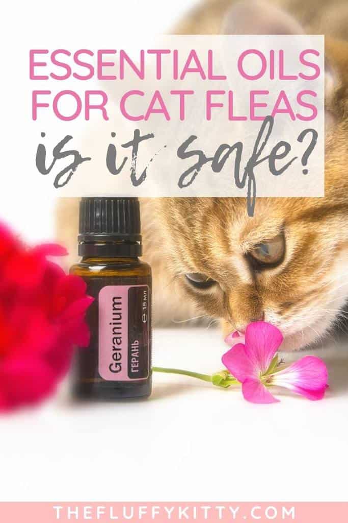 Are essential oils for fleas on cats safe and effective?
