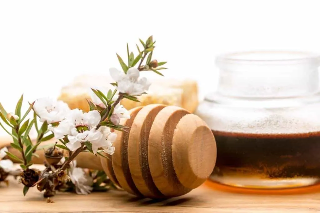 manuka honey for cats