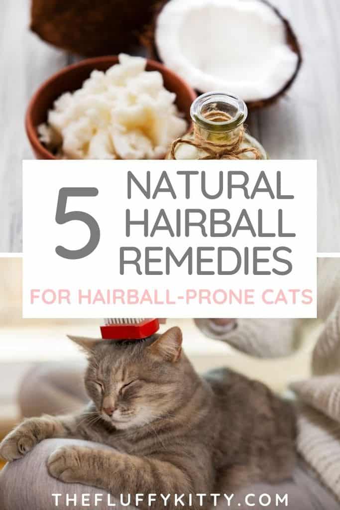 Natural Hairball Remedies for Cats | thefluffykitty.com
