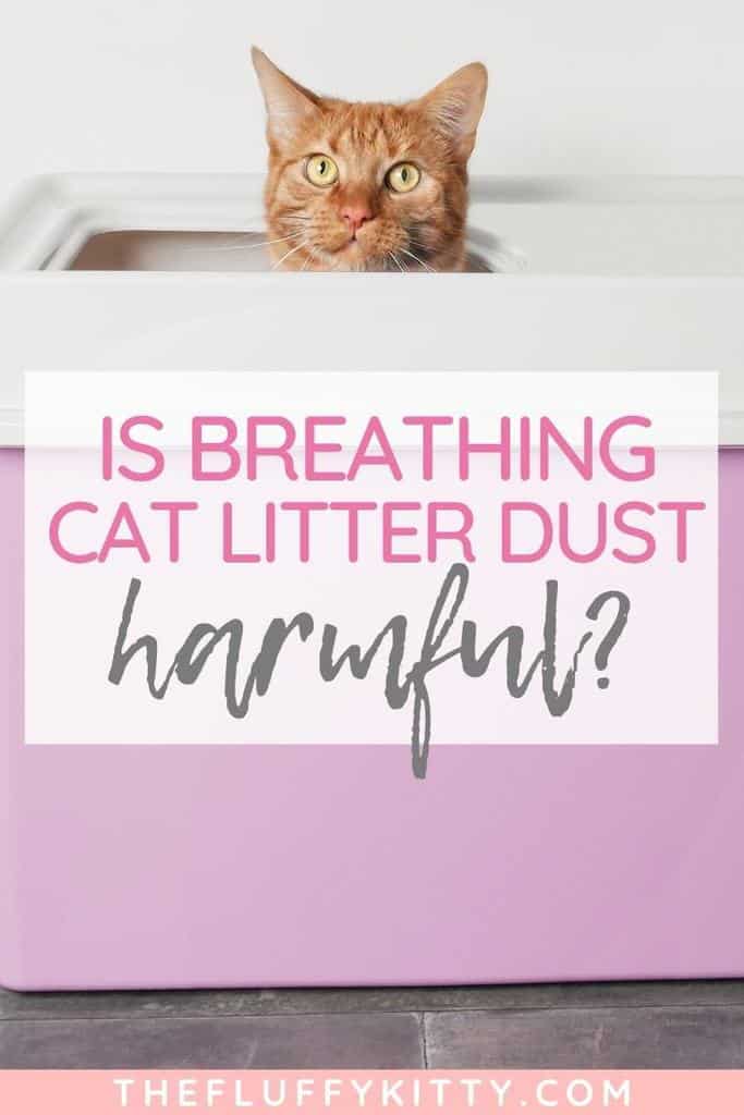 The Dangers of Breathing Cat Litter Dust