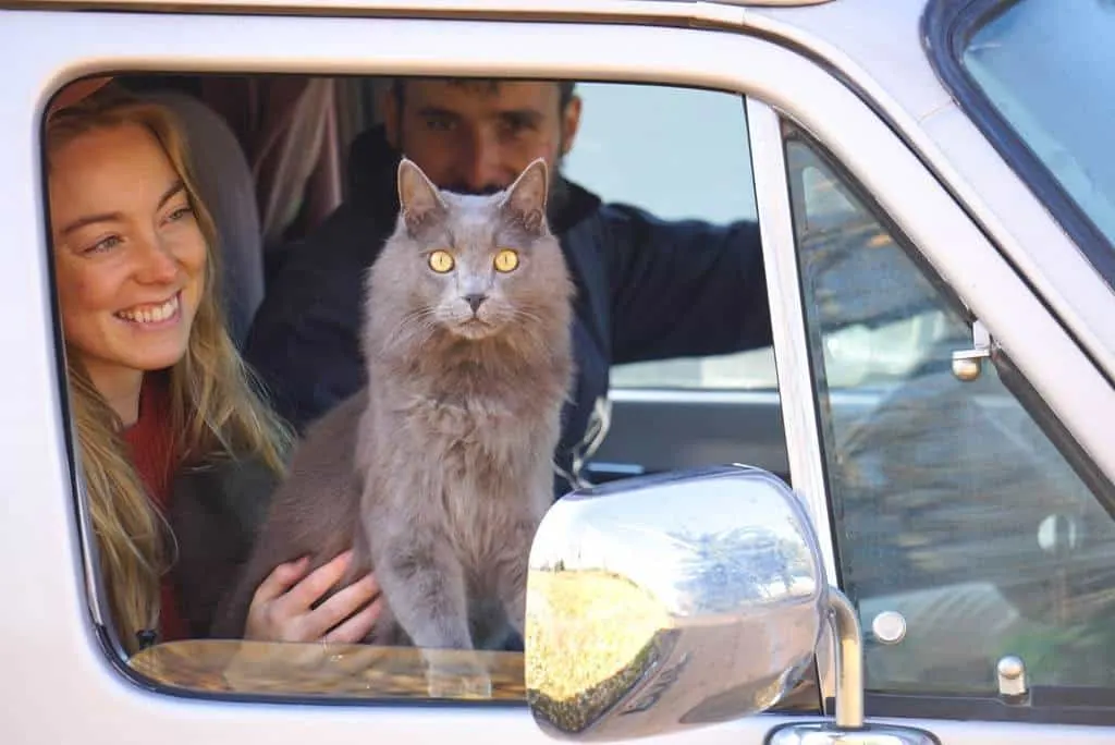 couples with cat traveling in an rv