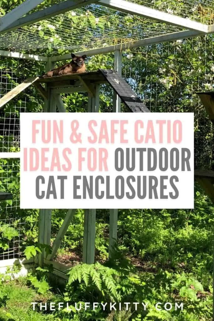 cat lounging in backyard catio cat enclosure