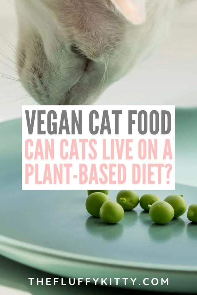 cat looking at green peas on plate with text overlay 'vegan cat food - can cats live on a plant based diet'