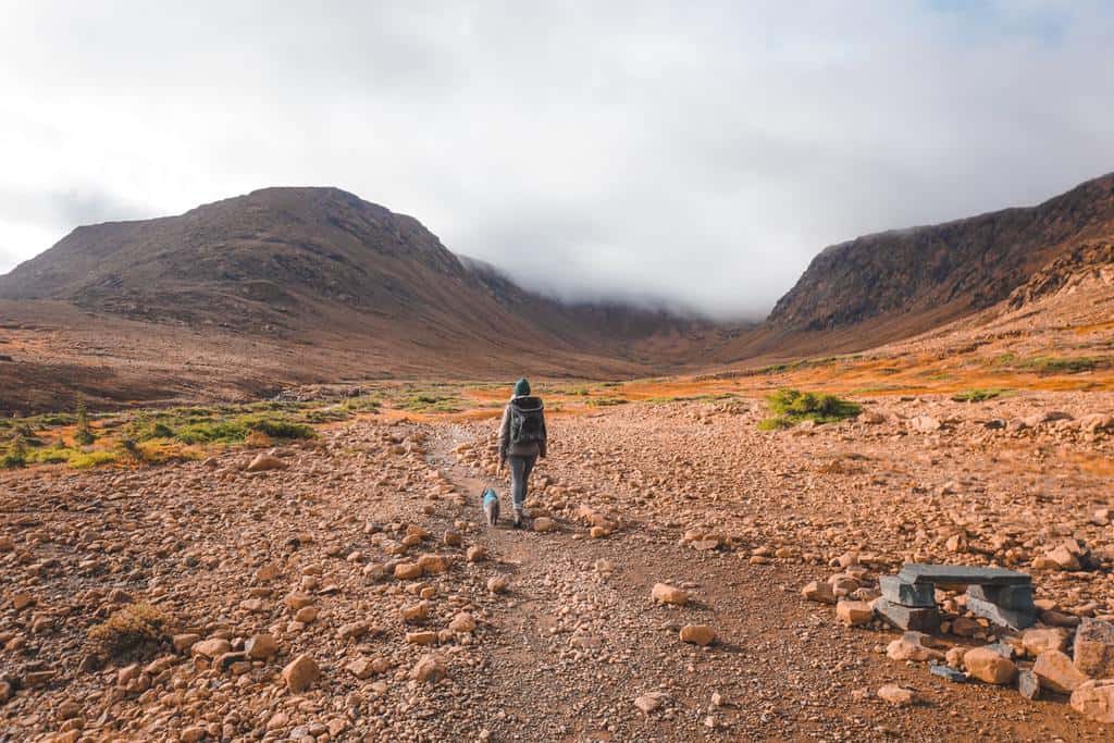girl hiking with a cat on leash in the Tablelands in Canada