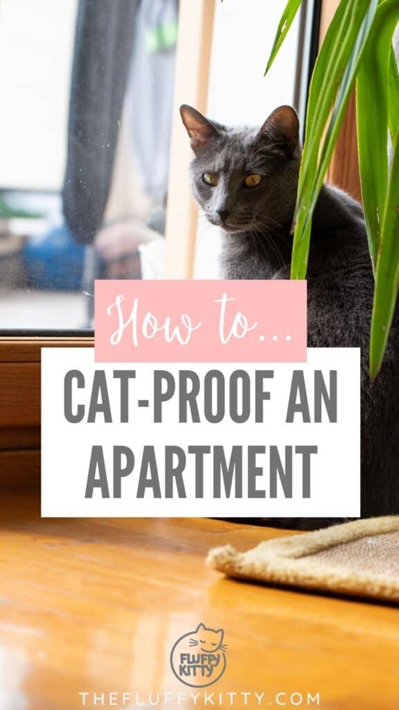 cat living in an apartment with text overlay
