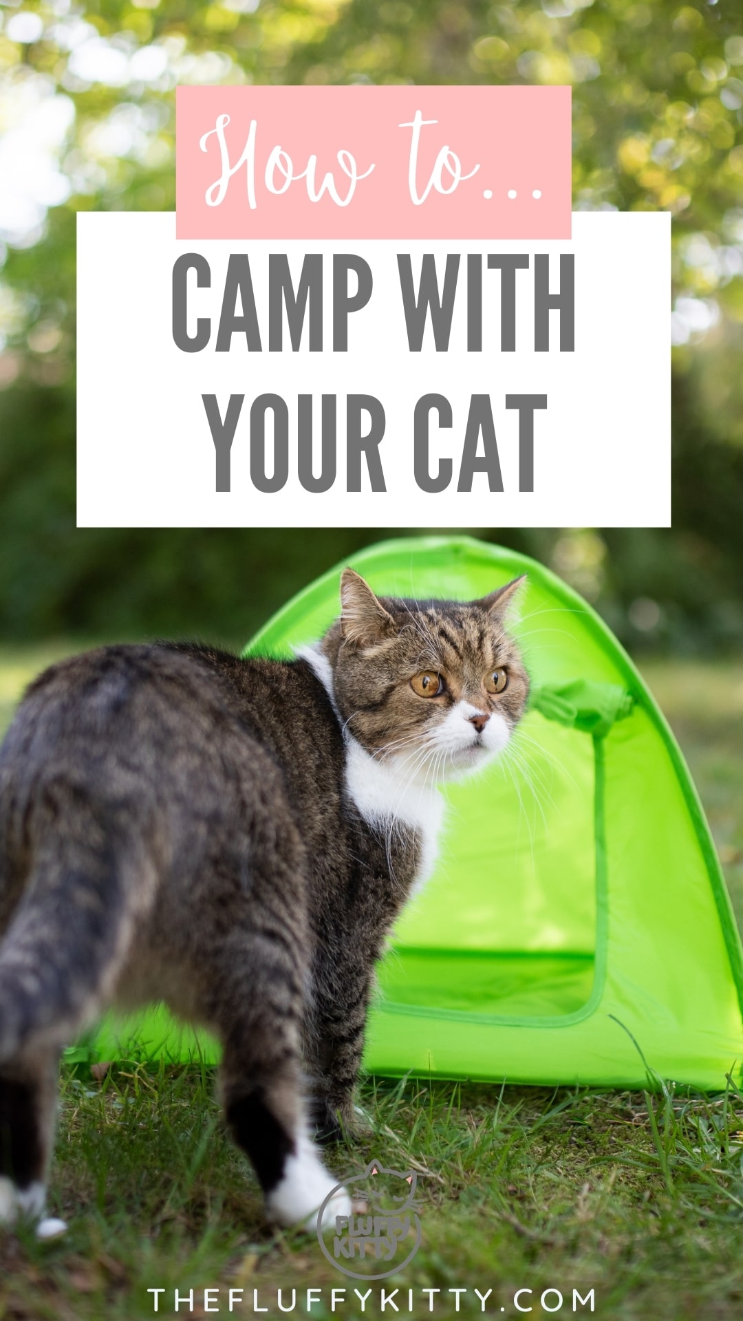 cat goes camping in a small cat tent, photo with text overlay "how to camp with your cat"