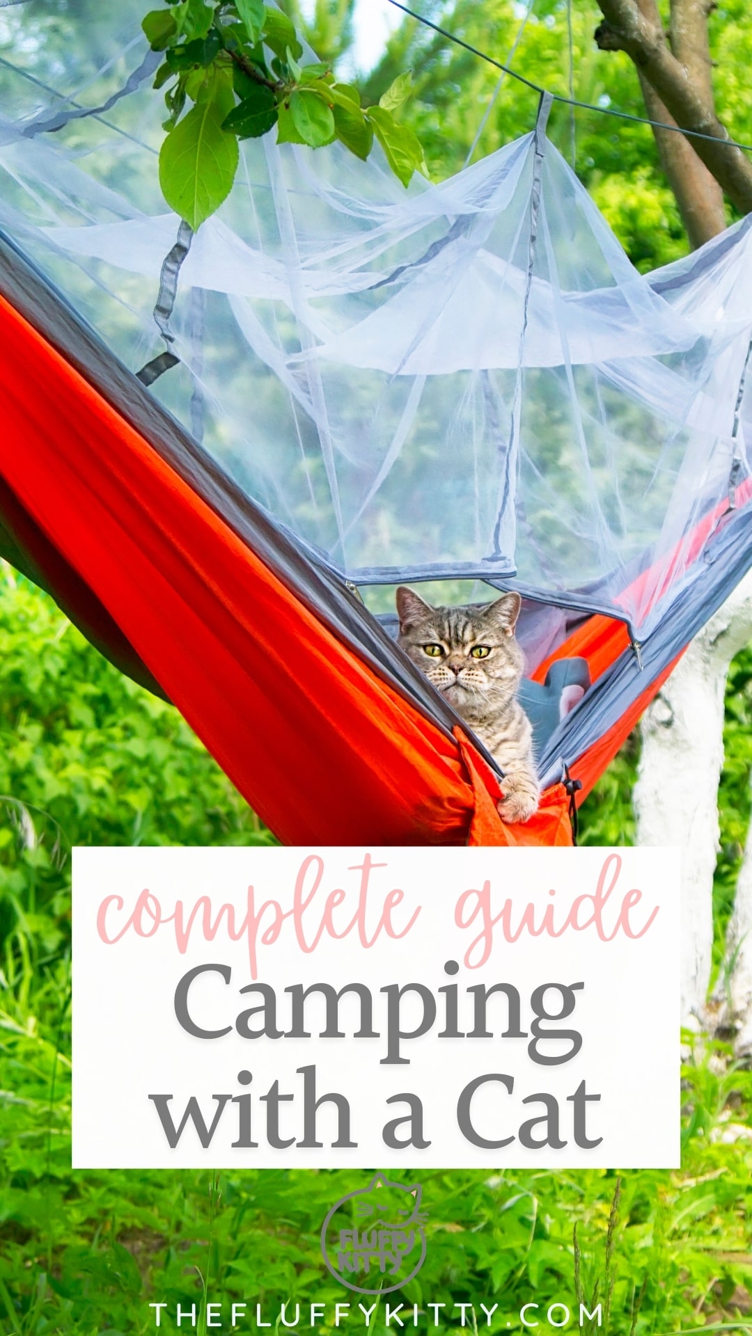 cat in a red hammock while camping, photo with text overlay "complete guide camping with a cat"