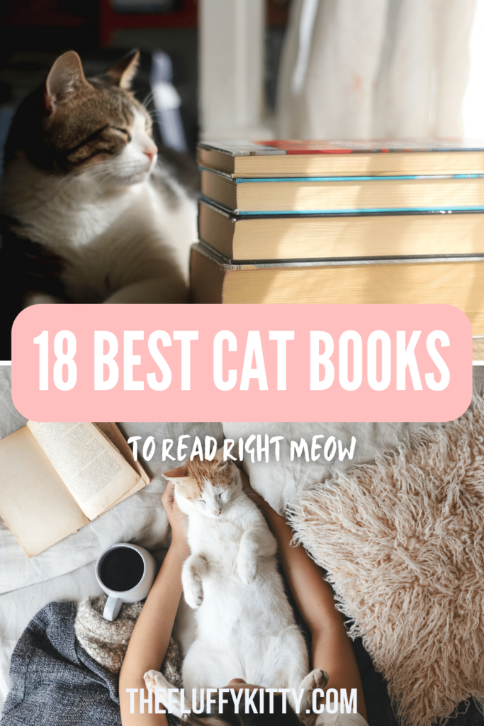 gallery images of cats and books