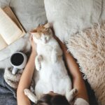 Can My Cat Be A Therapy Cat?