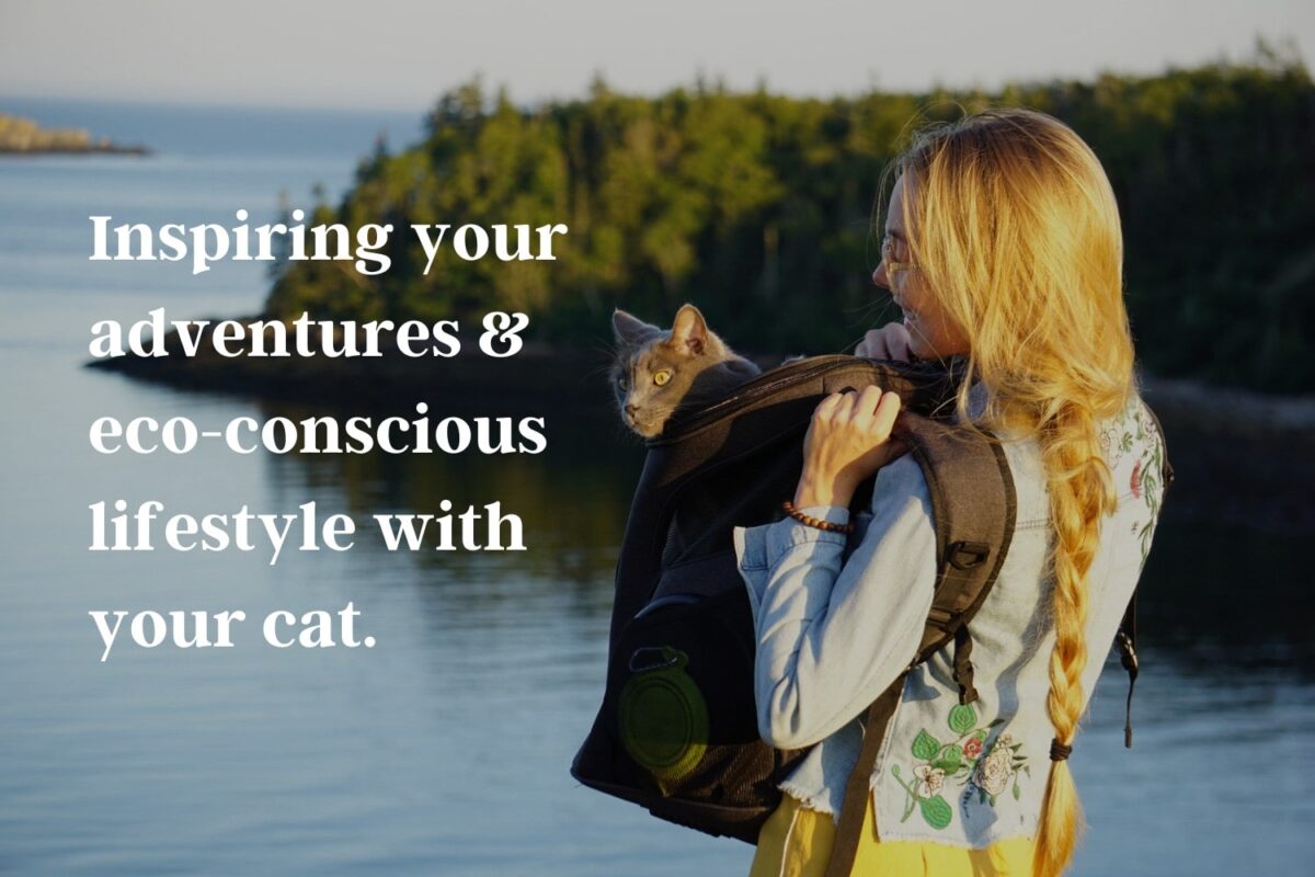 Woman traveling with her cat in a cat backpack.