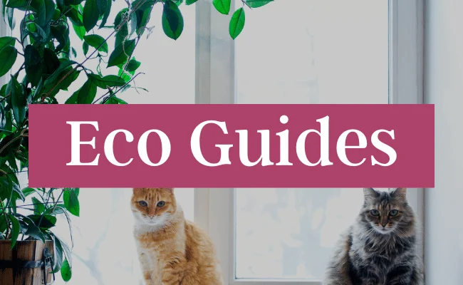 Cat Eco Guides